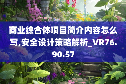 商业综合体项目简介内容怎么写,安全设计策略解析_VR76.90.57