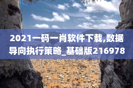 2021一码一肖软件下载,数据导向执行策略_基础版216978