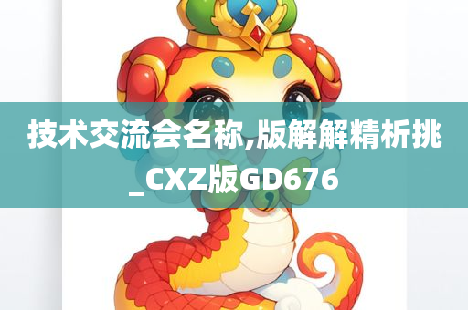 技术交流会名称,版解解精析挑_CXZ版GD676