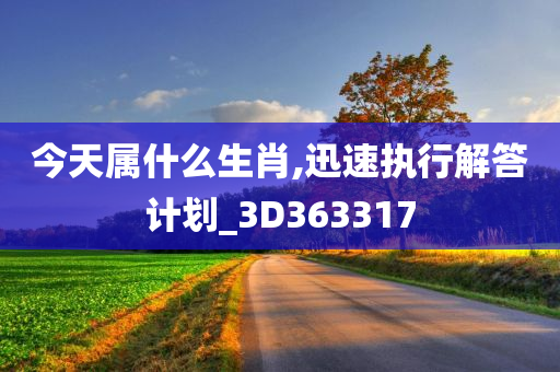 今天属什么生肖,迅速执行解答计划_3D363317