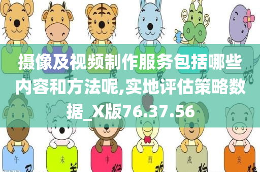 摄像及视频制作服务包括哪些内容和方法呢,实地评估策略数据_X版76.37.56