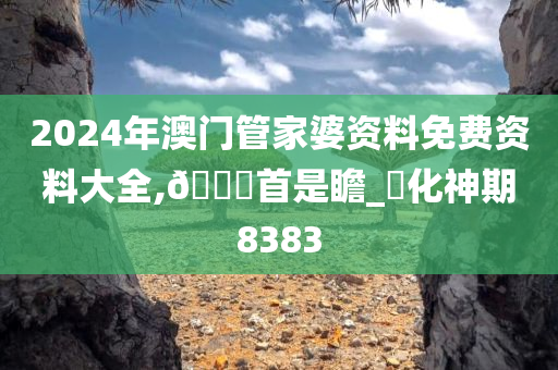 2024年澳门管家婆资料免费资料大全,🐎首是瞻_‌化神期8383