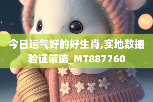 今日运气好的好生肖,实地数据验证策略_MT887760