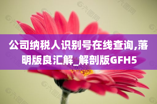 公司纳税人识别号在线查询,落明版良汇解_解剖版GFH5