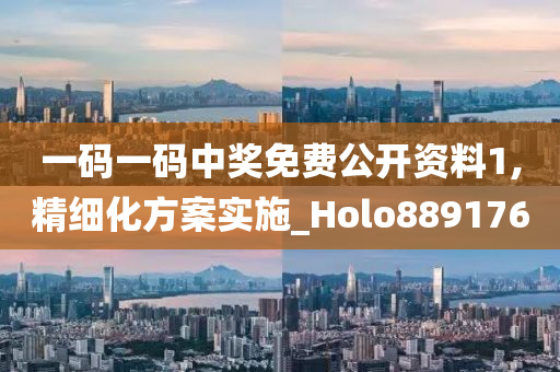 一码一码中奖免费公开资料1,精细化方案实施_Holo889176