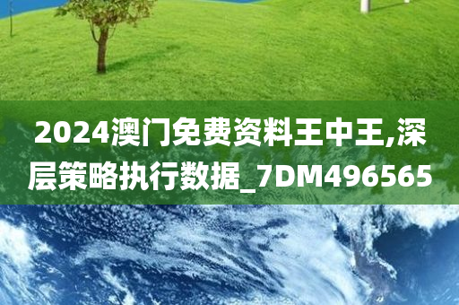 2024澳门免费资料王中王,深层策略执行数据_7DM496565