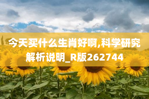 今天买什么生肖好啊,科学研究解析说明_R版262744