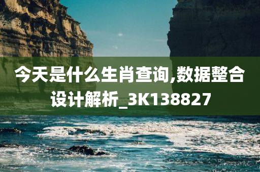 今天是什么生肖查询,数据整合设计解析_3K138827