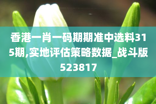 香港一肖一码期期准中选料315期,实地评估策略数据_战斗版523817