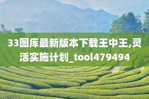 33图库最新版本下载王中王,灵活实施计划_tool479494