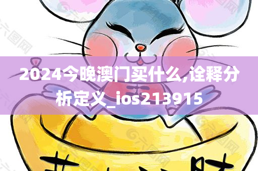 2024今晚澳门买什么,诠释分析定义_ios213915