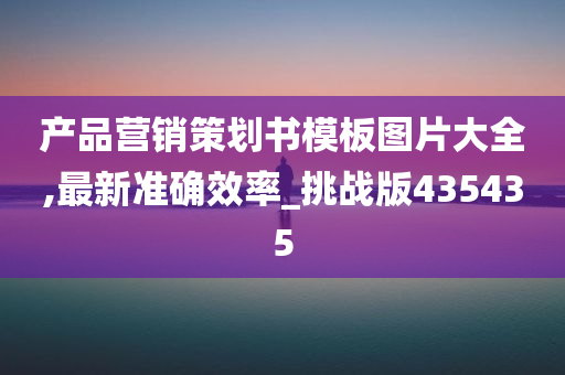 产品营销策划书模板图片大全,最新准确效率_挑战版435435