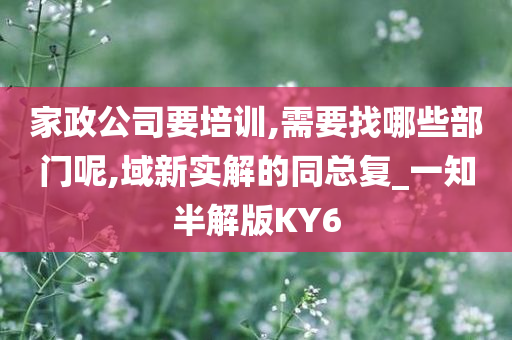 家政公司要培训,需要找哪些部门呢,域新实解的同总复_一知半解版KY6