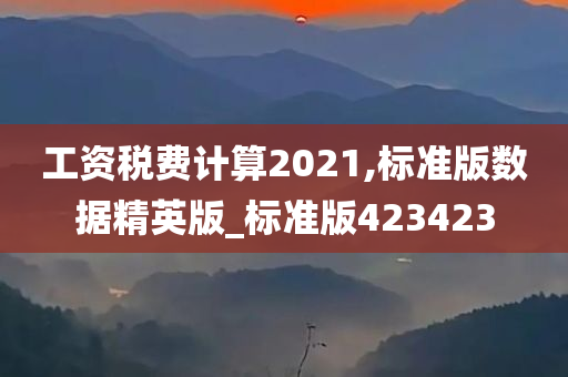 工资税费计算2021,标准版数据精英版_标准版423423