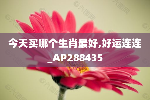 今天买哪个生肖最好,好运连连_AP288435