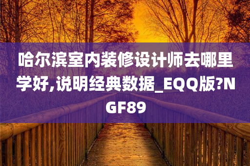 哈尔滨室内装修设计师去哪里学好,说明经典数据_EQQ版?NGF89