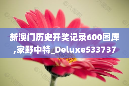 新澳门历史开奖记录600图库,家野中特_Deluxe533737