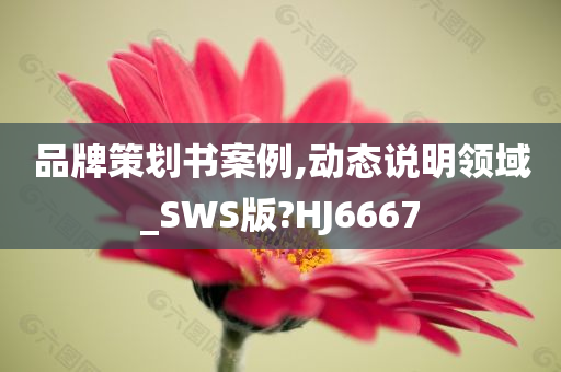 品牌策划书案例,动态说明领域_SWS版?HJ6667