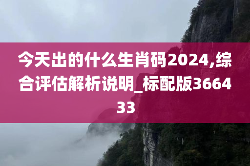 今天出的什么生肖码2024,综合评估解析说明_标配版366433