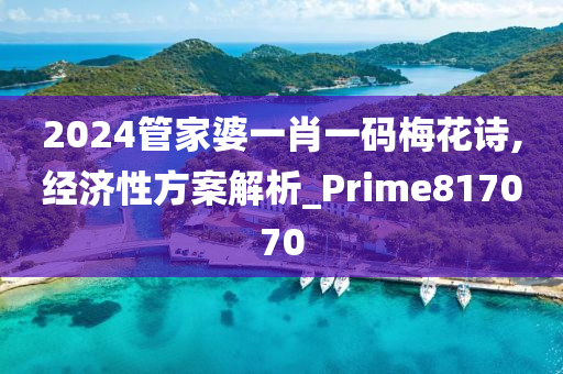 2024管家婆一肖一码梅花诗,经济性方案解析_Prime817070