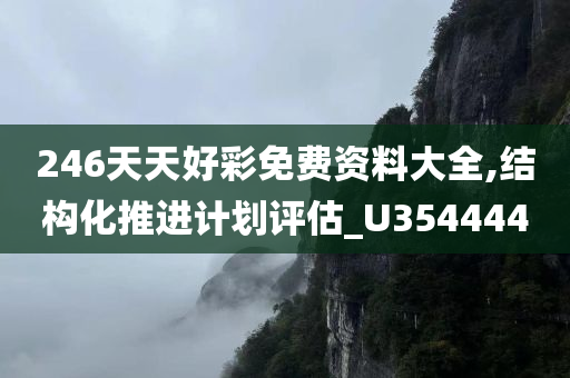 246天天好彩免费资料大全,结构化推进计划评估_U354444