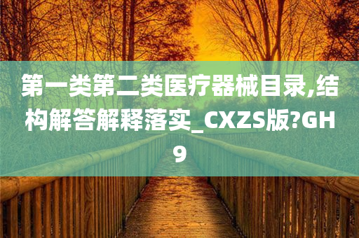 第一类第二类医疗器械目录,结构解答解释落实_CXZS版?GH9