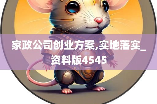 家政公司创业方案,实地落实_资料版4545