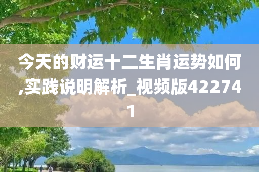 今天的财运十二生肖运势如何,实践说明解析_视频版422741