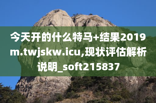 今天开的什么特马+结果2019m.twjskw.icu,现状评估解析说明_soft215837