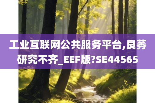 工业互联网公共服务平台,良莠研究不齐_EEF版?SE44565