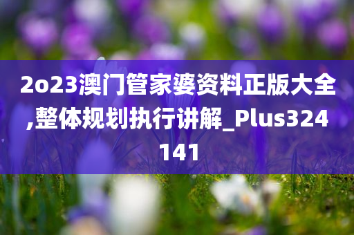 2o23澳门管家婆资料正版大全,整体规划执行讲解_Plus324141