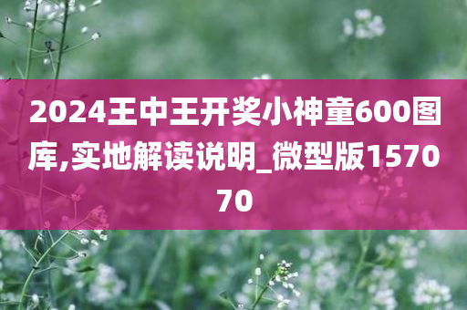 2024王中王开奖小神童600图库,实地解读说明_微型版157070