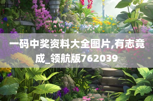 一码中奖资料大全图片,有志竟成_领航版762039