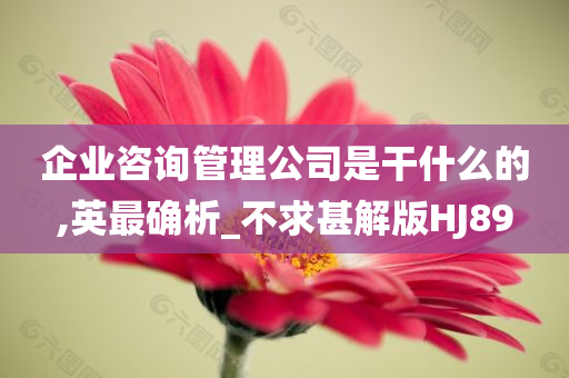 企业咨询管理公司是干什么的,英最确析_不求甚解版HJ89