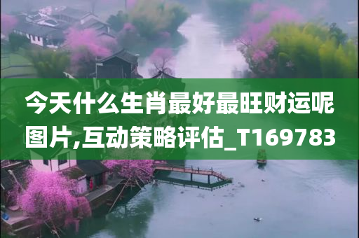 今天什么生肖最好最旺财运呢图片,互动策略评估_T169783