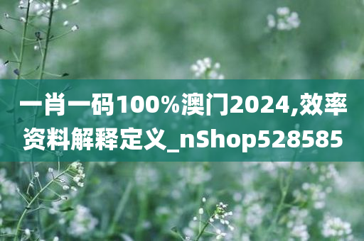 一肖一码100%澳门2024,效率资料解释定义_nShop528585