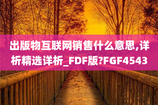 出版物互联网销售什么意思,详析精选详析_FDF版?FGF4543