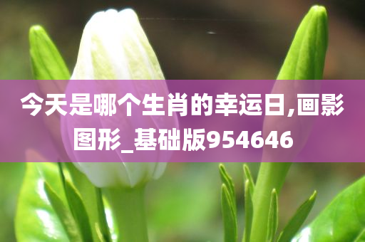 今天是哪个生肖的幸运日,画影图形_基础版954646