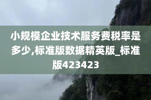 小规模企业技术服务费税率是多少,标准版数据精英版_标准版423423