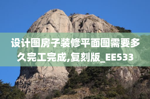 设计图房子装修平面图需要多久完工完成,复刻版_EE533