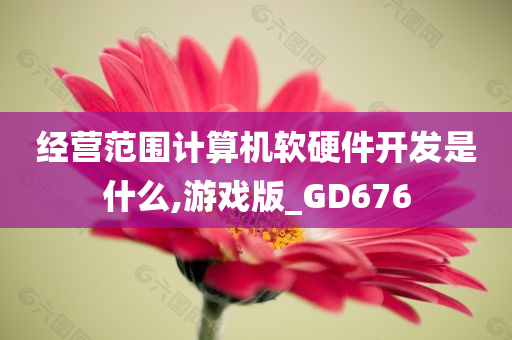 经营范围计算机软硬件开发是什么,游戏版_GD676