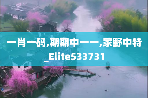 一肖一码,期期中一一,家野中特_Elite533731