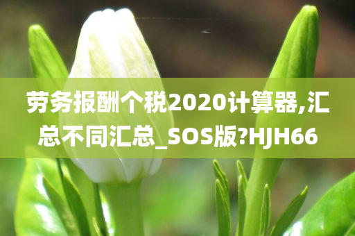 劳务报酬个税2020计算器,汇总不同汇总_SOS版?HJH66