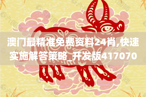 澳门最精准免费资料24肖,快速实施解答策略_开发版417070