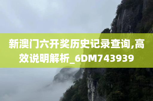 新澳门六开奖历史记录查询,高效说明解析_6DM743939