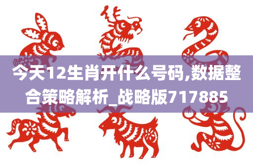 今天12生肖开什么号码,数据整合策略解析_战略版717885