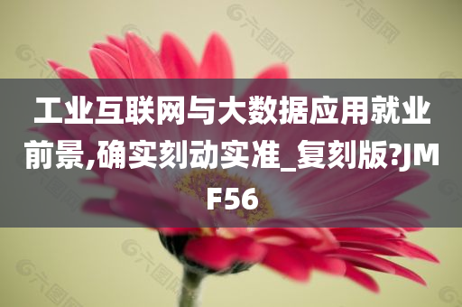 工业互联网与大数据应用就业前景,确实刻动实准_复刻版?JMF56