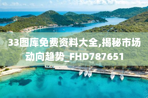 33图库免费资料大全,揭秘市场动向趋势_FHD787651