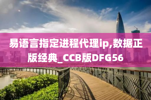 易语言指定进程代理ip,数据正版经典_CCB版DFG56