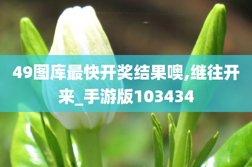 49图库最快开奖结果噢,继往开来_手游版103434